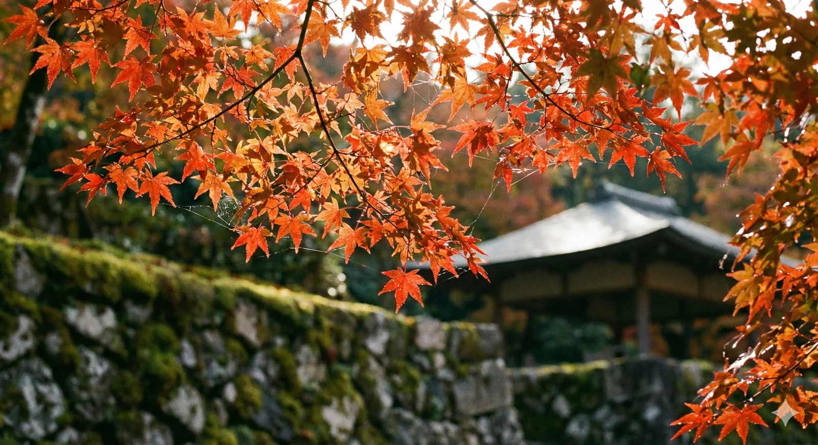 清流と夏の自然
